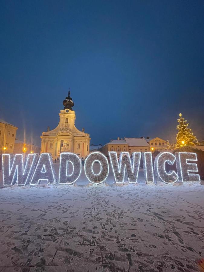 Z Widokiem Na Blizniaki